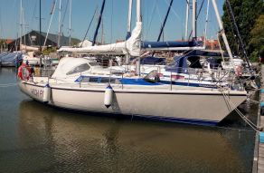 Dehler Optima 101