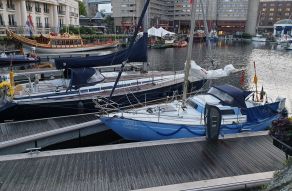 Mallard Ecume De Mer