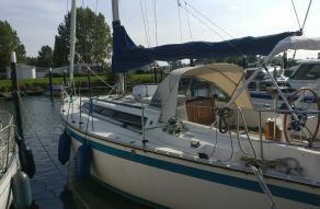 Friendship 35