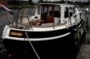 Danish Rose 33 Ft / 9.90 Mtr