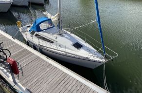 Gibsea 84