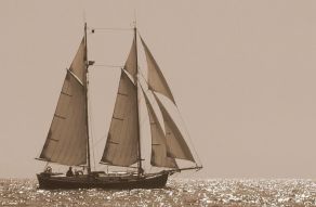 Lunstroo Skoit 33