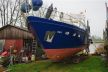 Valk Valk Eastkamp 1180