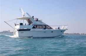 Edership Edership 41