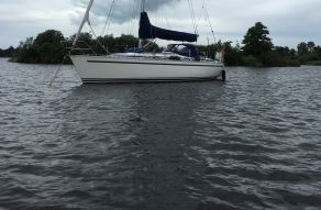 Dynamic 37