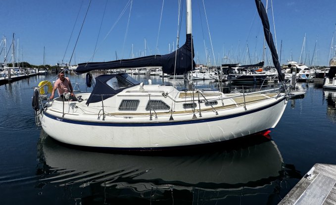 Midget 31, Zeiljacht for sale by GT Yachtbrokers