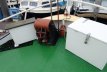 Biesbosch Aak Motorjacht
