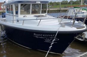Sargo Minor 31