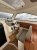 Gagliotta Lobster 35