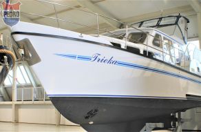 Pedro Skiron 35