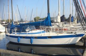 Gouwzee Snoopy 30