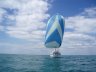 Colvic Victor 41