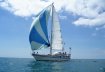 Colvic Victor 41