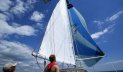 Colvic Victor 41