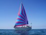 Colvic Victor 41