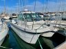 Cheetah Marine Cheetah 7.9