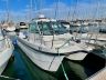Cheetah Marine Cheetah 7.9