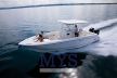 Boston Whaler OUTRAGE 320 50th Anniversary