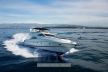 Sunseeker Manhattan 74
