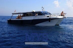 Cougar Catamarans 40 Ferry Hardtop