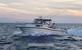 Boston Whaler BOSTON 305 CONQUEST