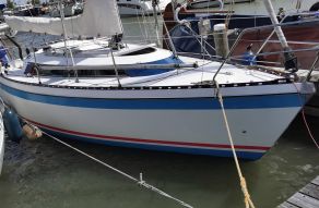 Friendship 28