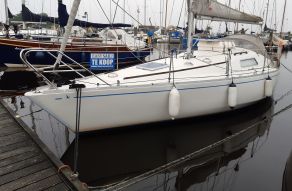 Albin Scampi 30