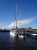 Sailcraft Apache 41