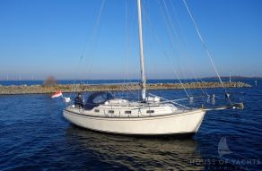 Island Packet 31