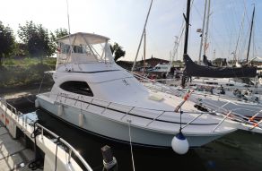 Bertram 390