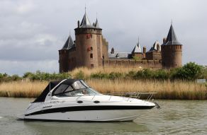 Sea Ray Ray 315 Sundancer