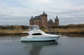Bertram 390