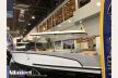 23 Cabin Electric Prestige Line