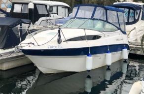 Bayliner 245