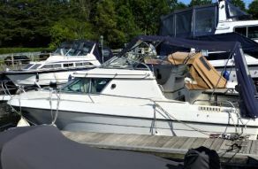 Cruisers International Holiday 224