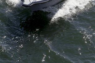 Nord Star Sport 25 Open
