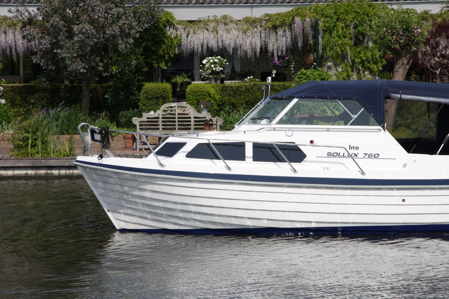 noorse spitsgatter te koop