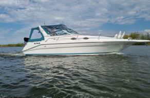 Searay 290 Sundancer