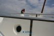 Altena Inland Cruiser 19.50