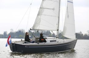 Damarin D23