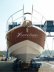 SESSA MARINE C 52
