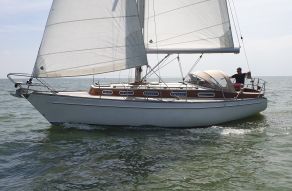 Scalar 31