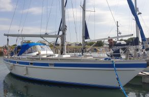 Trintella 44