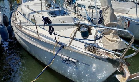 Hallberg-Rassy 31 Monsun, Segelyacht for sale by Connect Yachtbrokers