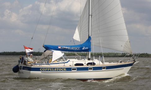 Hallberg Rassy 312, Segelyacht for sale by Connect Yachtbrokers