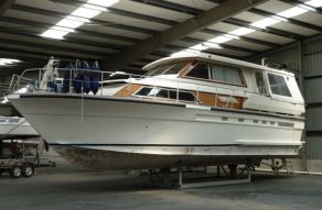 Cytra 43 Ambassador