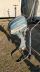Evinrude Fleetwin 7.5 pk 2 takt kortstaart