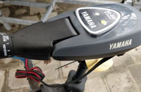 Yamaha M20
