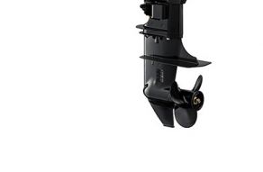 Suzuki DF 15 AS
