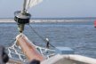 Puffin 42